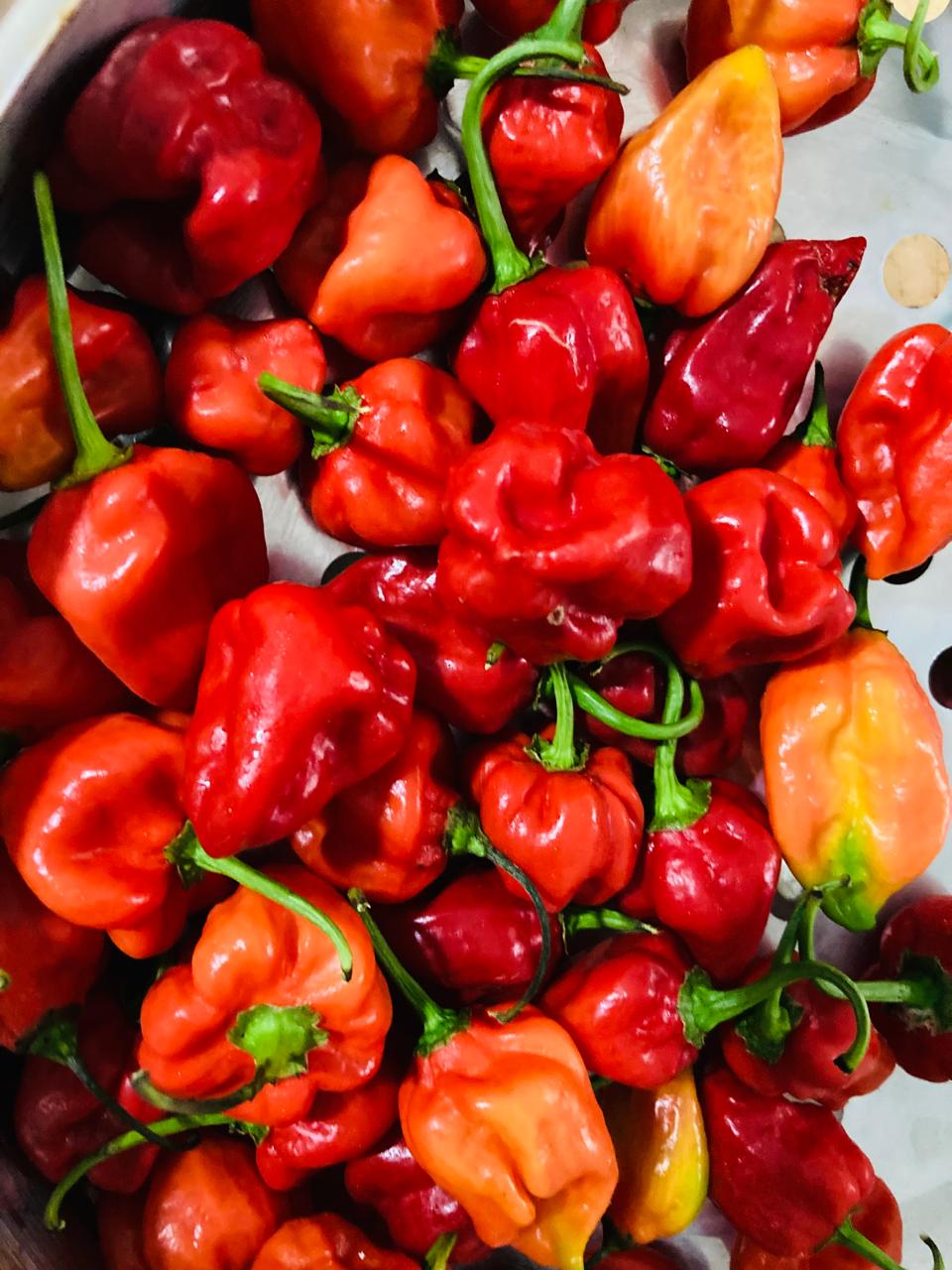 Ayubo Organics