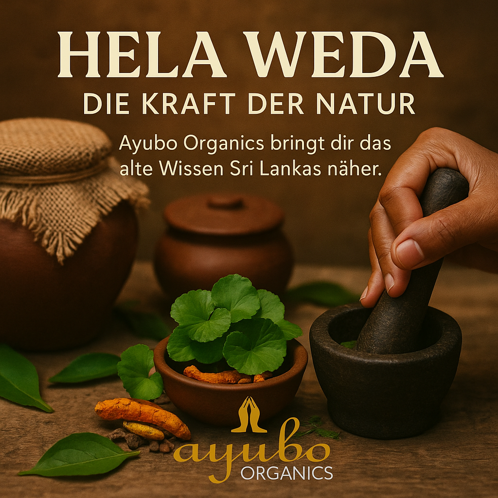 Ayurveda Kochkurs 100
