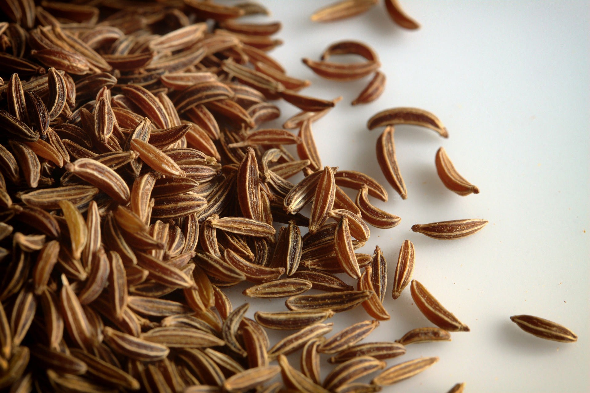 Bio Kreuzkümmel