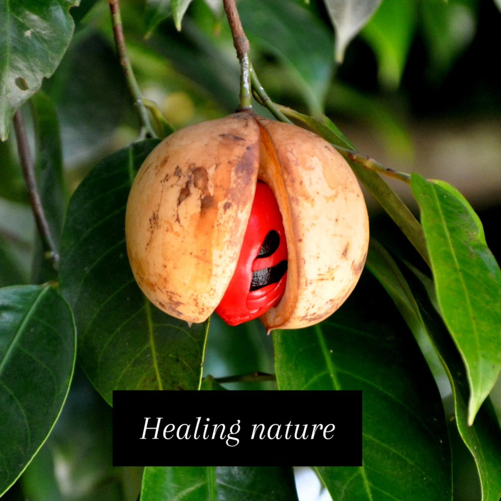 Ayubo Organics